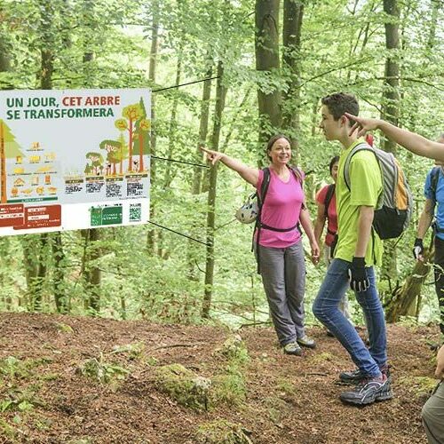 BL Emballages - emballages bois Dordogne