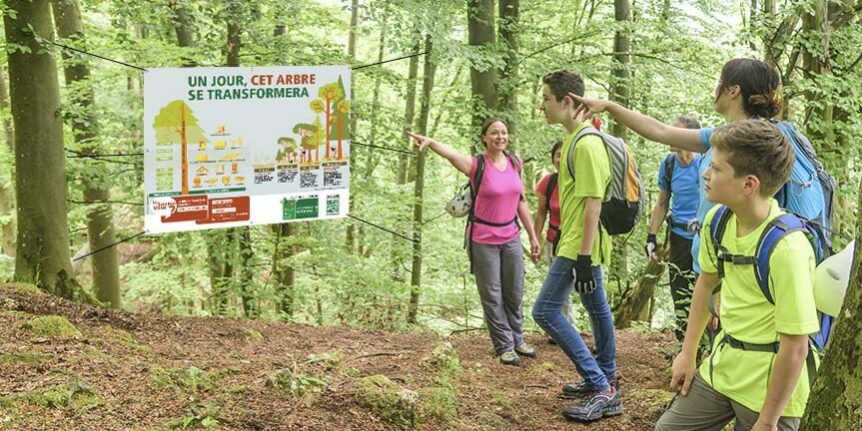 BL Emballages – emballages bois Dordogne BL Emballages - emballages bois Dordogne